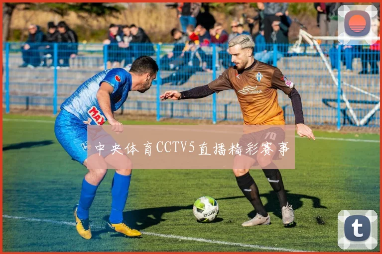 中央体育CCTV5直播精彩赛事