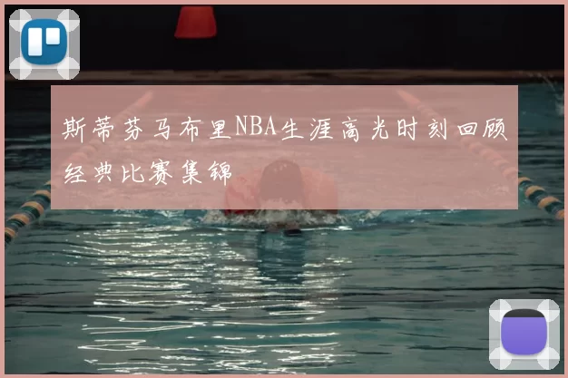 斯蒂芬马布里NBA生涯高光时刻回顾经典比赛集锦