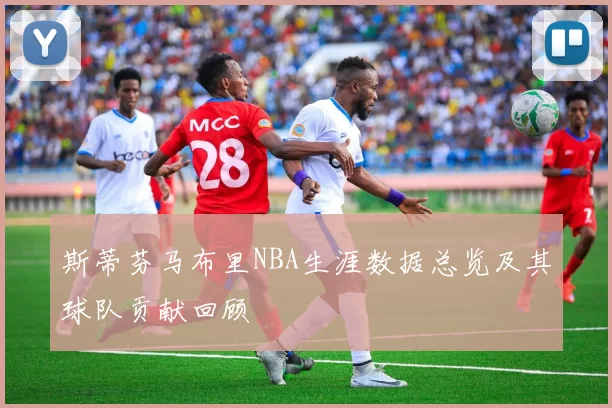斯蒂芬马布里NBA生涯数据总览及其球队贡献回顾