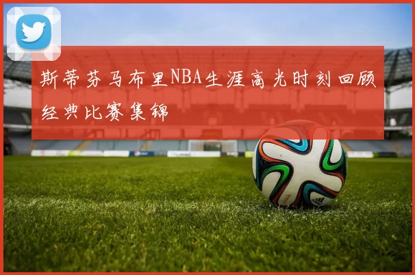 斯蒂芬马布里NBA生涯高光时刻回顾经典比赛集锦