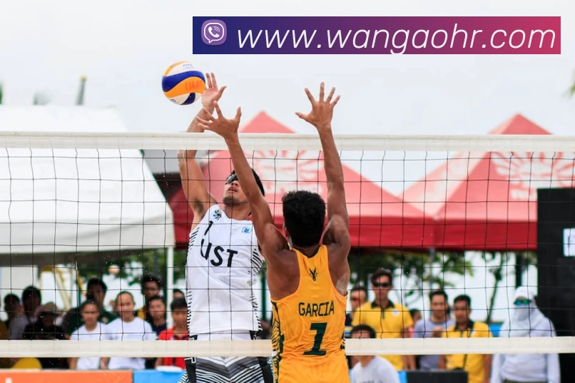 多媒体互动体验